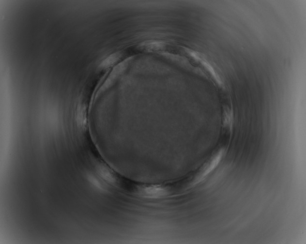 X0000087060383200705161017