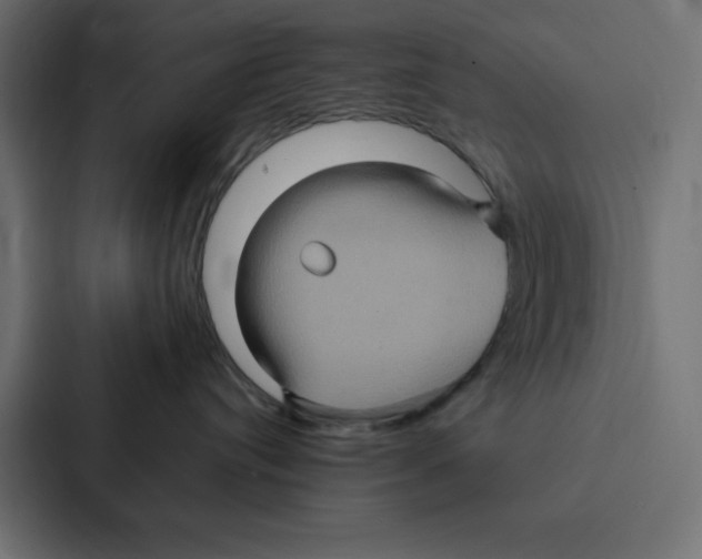 X0000087060384200705161017