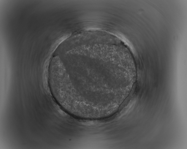 X0000087060385200705161016