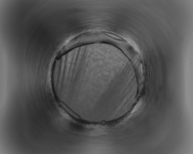 X0000087060389200705161016