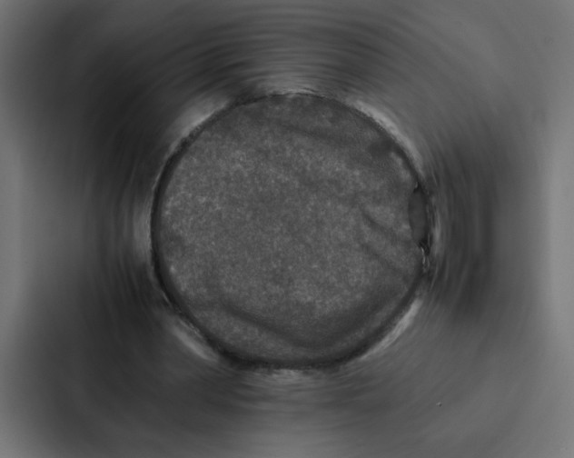 X0000087060390200705161016