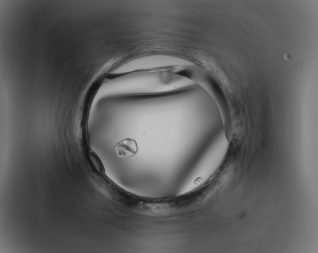 X0000087060395200705161016
