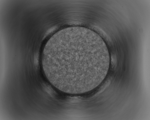 X0000087060396200705161016