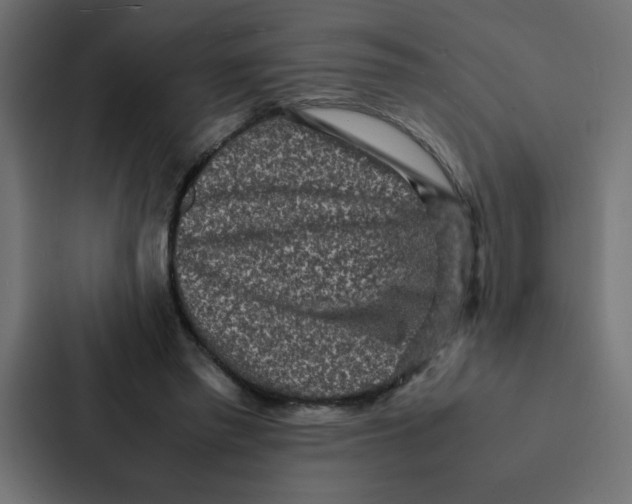 X0000087060397200705161016