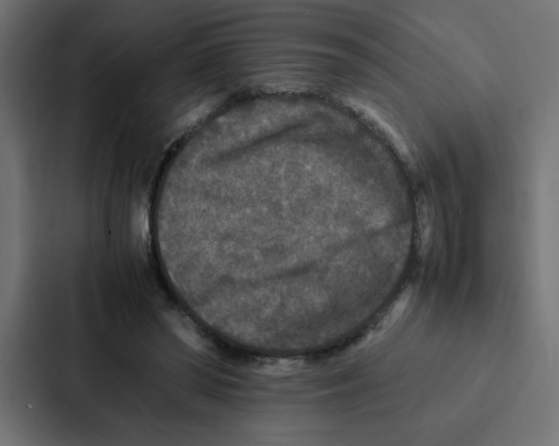 X0000087060398200705161016