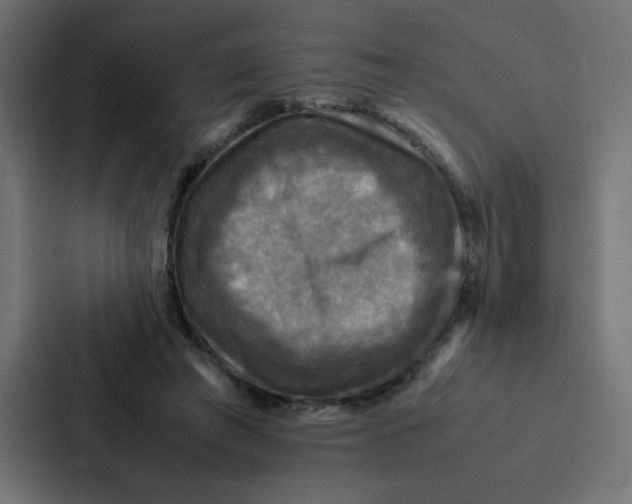 X0000087060401200705161016