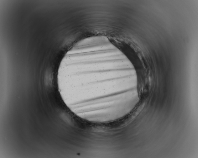 X0000087060408200705161016