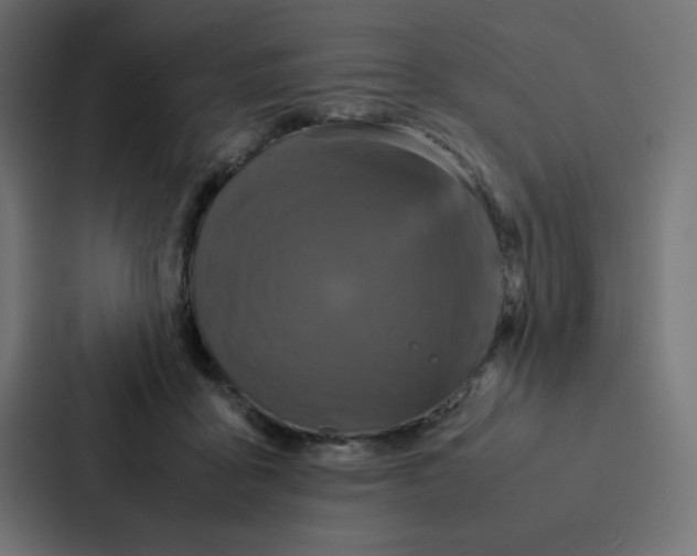 X0000087060411200705161016