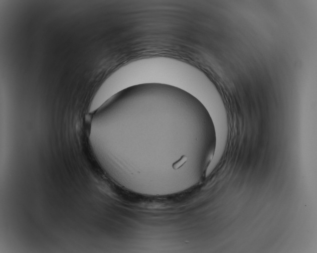 X0000087060412200705161016