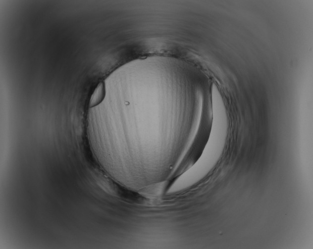 X0000087060413200705161016