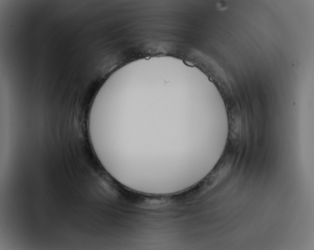 X0000087060414200705161016