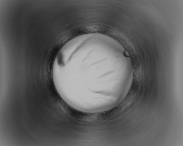 X0000087060418200705161016