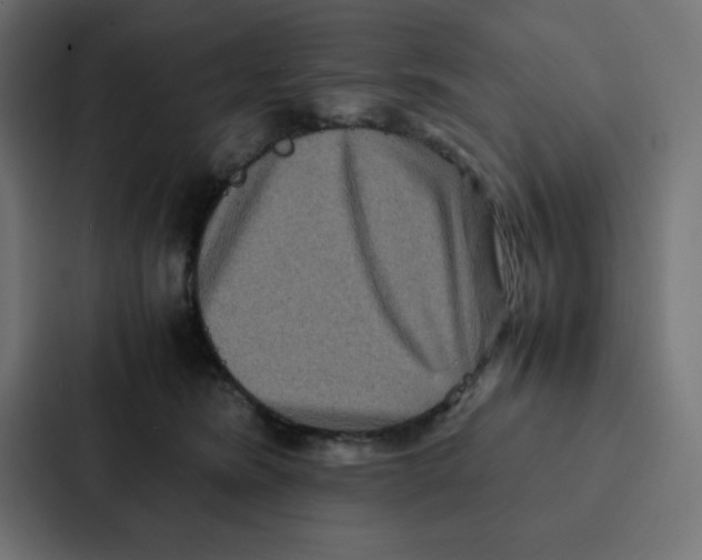 X0000087060420200705161016