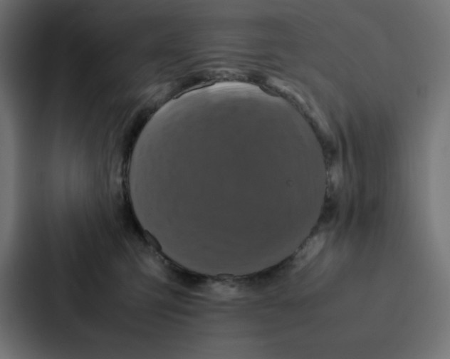 X0000087060423200705161016