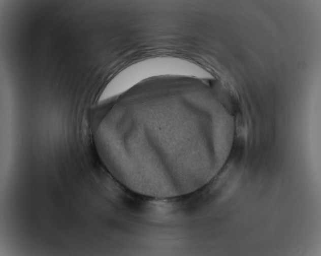 X0000087060425200705161016