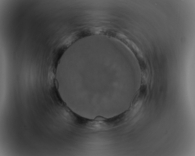 X0000087060427200705161016