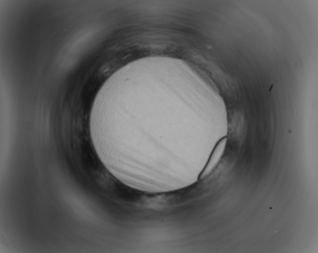 X0000087060430200705161016