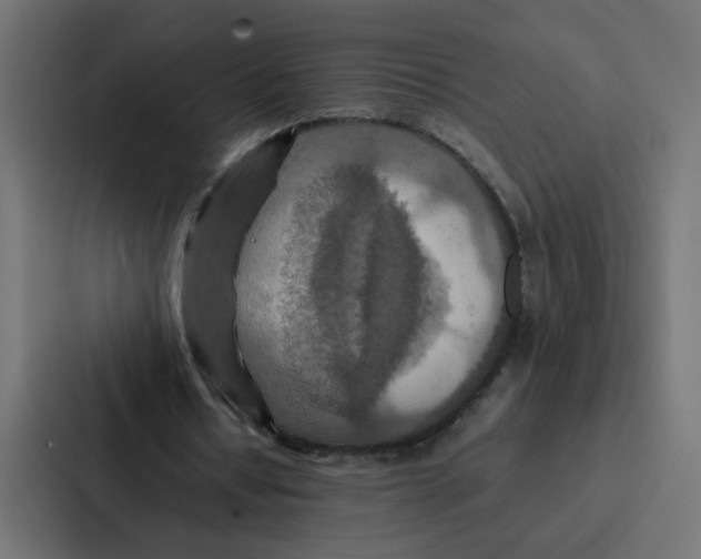 X0000087060434200705161015