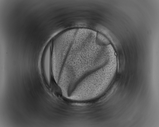 X0000087060435200705161015