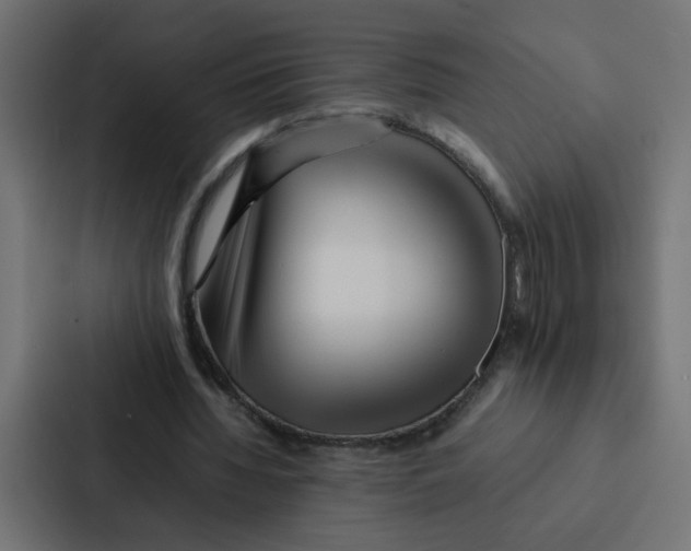 X0000087060436200705161015