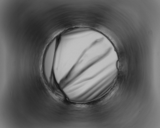 X0000087060437200705161015