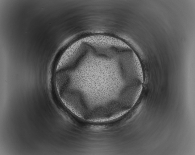 X0000087060440200705161015