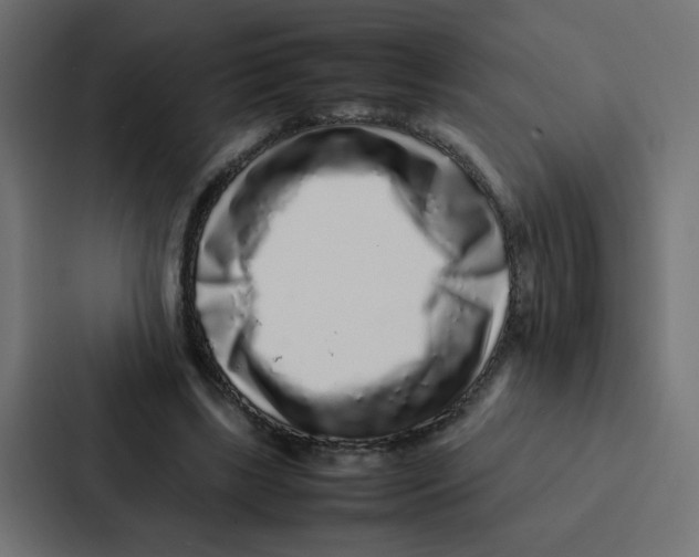 X0000087060443200705161015