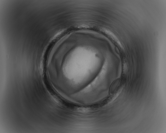 X0000087060444200705161015