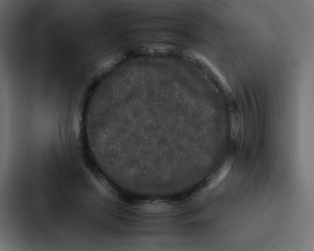 X0000087060451200705161015