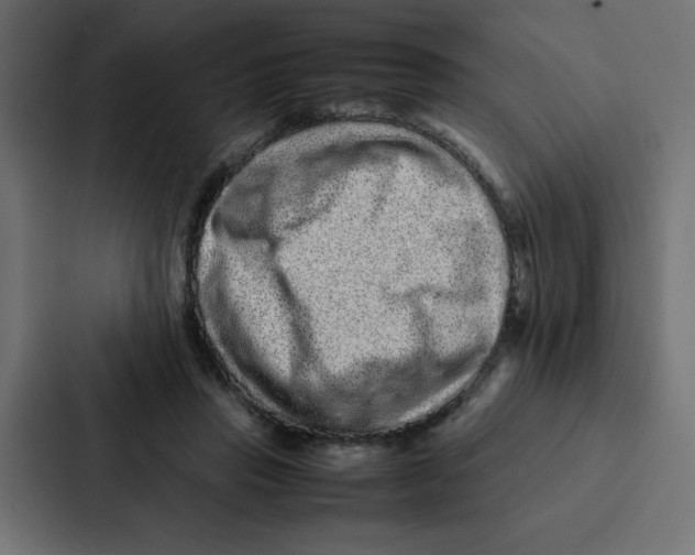 X0000087060453200705161015