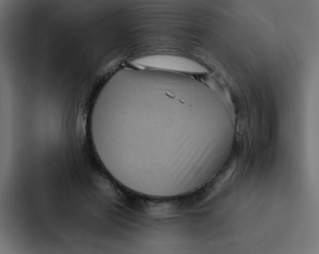 X0000087060454200705161015