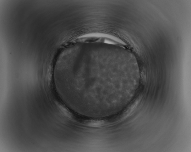 X0000087060458200705161015