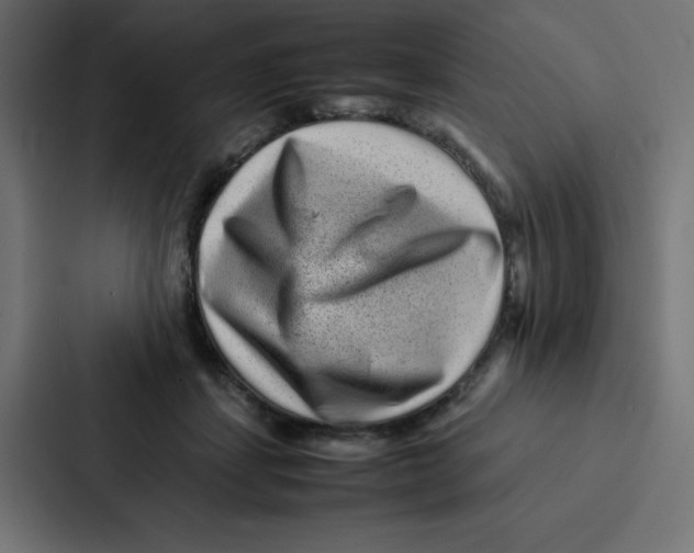 X0000087060459200705161015