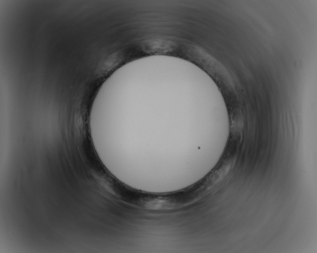 X0000087060460200705161015