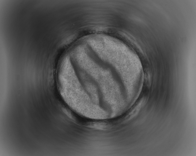 X0000087060462200705161015