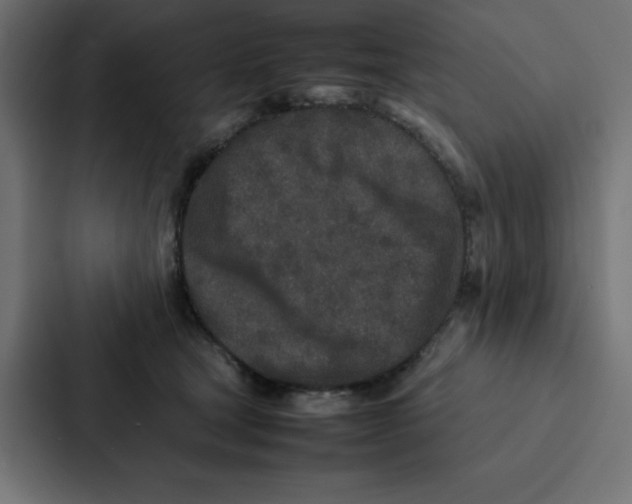 X0000087060465200705161015