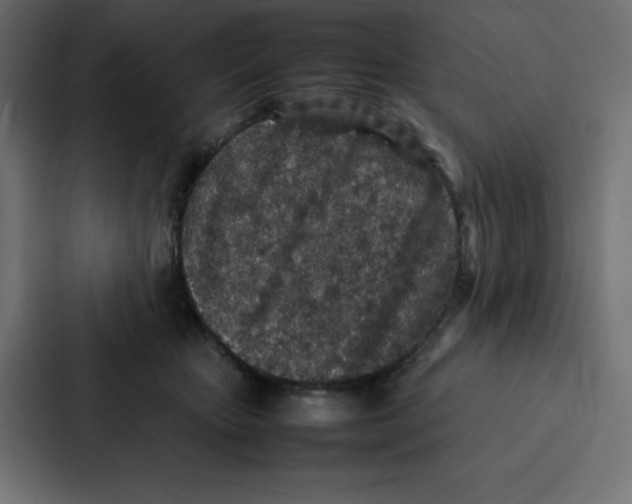 X0000087060467200705161015