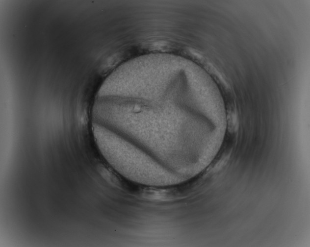 X0000087060472200705161016