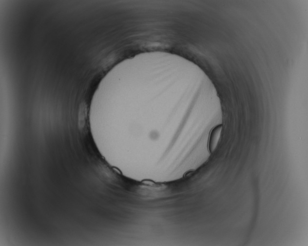 X0000087060480200705161016