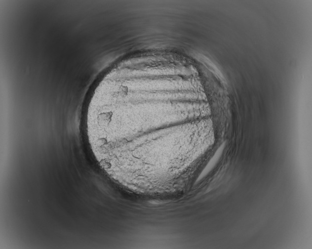 X0000087060483200705161015