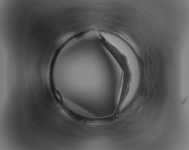 X0000087060485200705161015