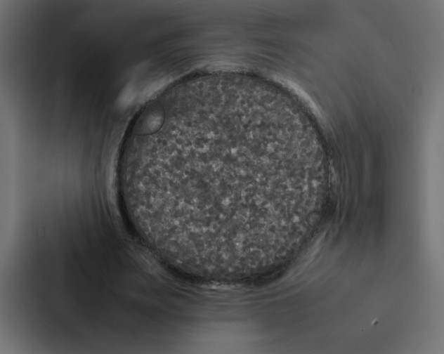 X0000087060487200705161015