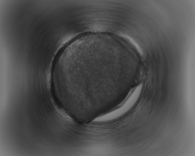 X0000087060488200705161015