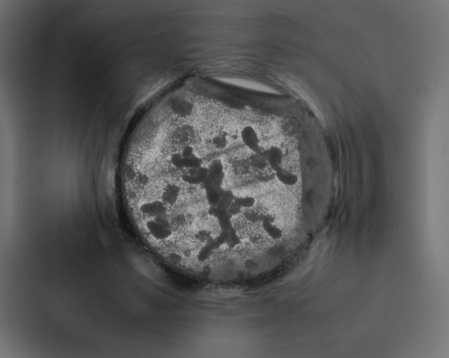 X0000087060491200705161015