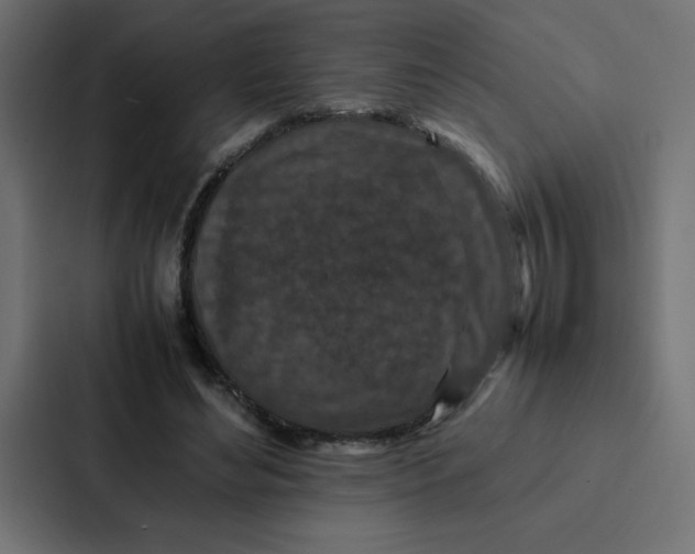 X0000087060492200705161015