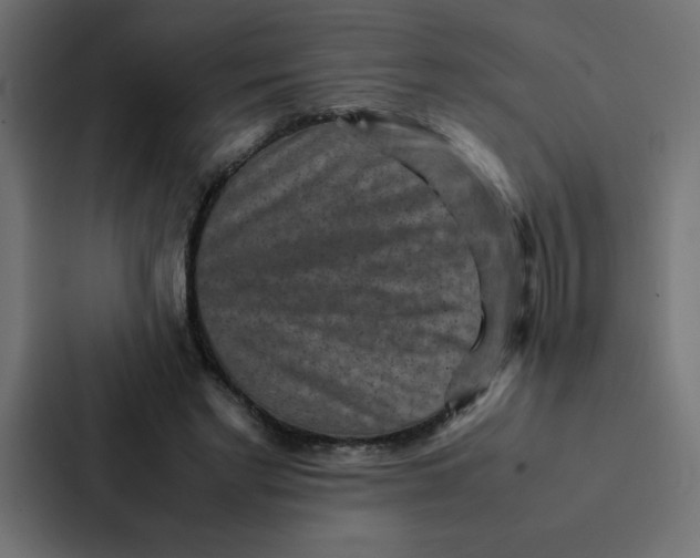 X0000087060493200705161015