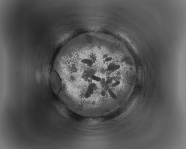 X0000087060495200705161015