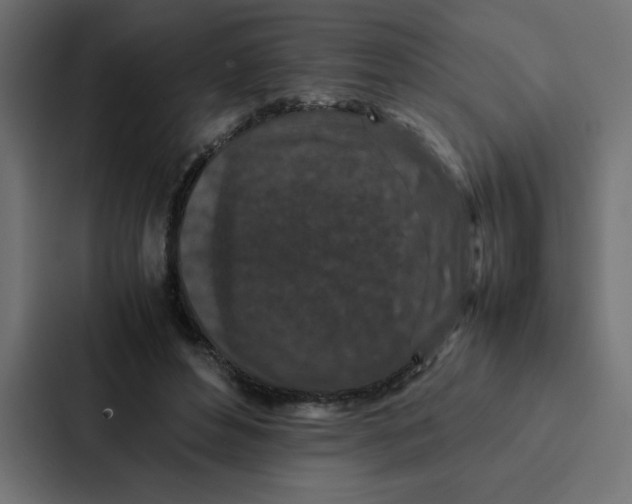 X0000087060496200705161015