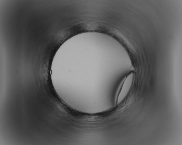 X0000087060497200705161015