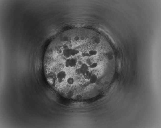 X0000087060499200705161015